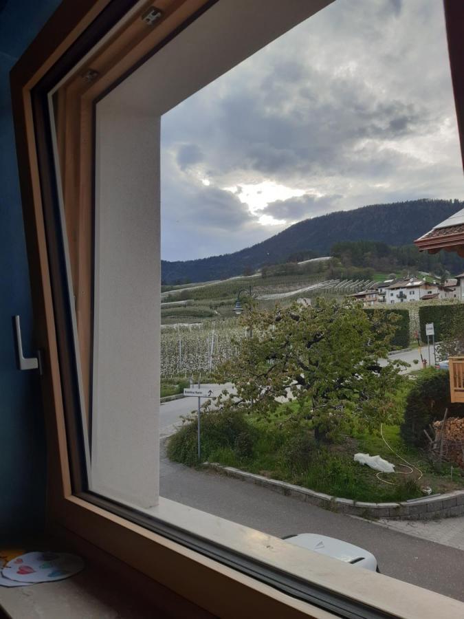 Casa Vacanze Rosa ブレツ エクステリア 写真